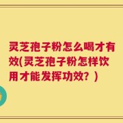 灵芝孢子粉怎么喝才有效(灵芝孢子粉怎样饮用才能发挥功效？)