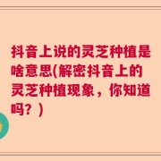 抖音上说的灵芝种植是啥意思(解密抖音上的灵芝种植现象，你知道吗？)