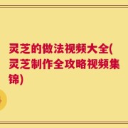 灵芝的做法视频大全(灵芝制作全攻略视频集锦)