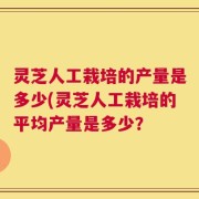 灵芝人工栽培的产量是多少(灵芝人工栽培的平均产量是多少？