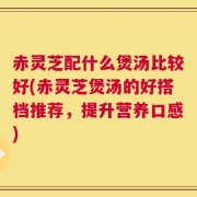 赤灵芝配什么煲汤比较好(赤灵芝煲汤的好搭档推荐，提升营养口感)