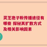 灵芝孢子粉传播途径有哪些 探秘其扩散方式及相关影响因素