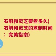 石斛和灵芝要煮多久(石斛和灵芝的煮制时间：完美指南)