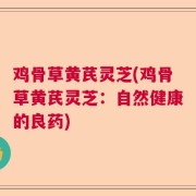 鸡骨草黄芪灵芝(鸡骨草黄芪灵芝：自然健康的良药)