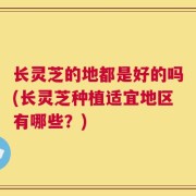 长灵芝的地都是好的吗(长灵芝种植适宜地区有哪些？)