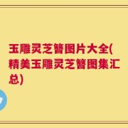 玉雕灵芝簪图片大全(精美玉雕灵芝簪图集汇总)