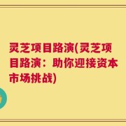 灵芝项目路演(灵芝项目路演：助你迎接资本市场挑战)