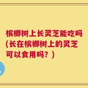 槟榔树上长灵芝能吃吗(长在槟榔树上的灵芝可以食用吗？)