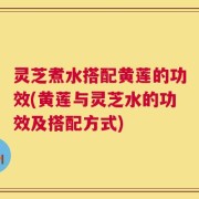 灵芝煮水搭配黄莲的功效(黄莲与灵芝水的功效及搭配方式)