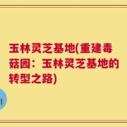 玉林灵芝基地(重建毒菇园：玉林灵芝基地的转型之路)