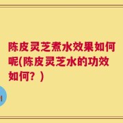 陈皮灵芝煮水效果如何呢(陈皮灵芝水的功效如何？)