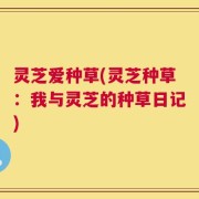 灵芝爱种草(灵芝种草：我与灵芝的种草日记)