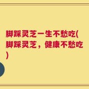 脚踩灵芝一生不愁吃(脚踩灵芝，健康不愁吃)