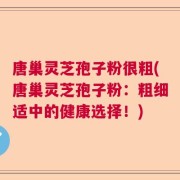 唐巢灵芝孢子粉很粗(唐巢灵芝孢子粉：粗细适中的健康选择！)