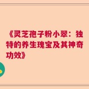《灵芝孢子粉小翠：独特的养生瑰宝及其神奇功效》