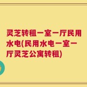 灵芝转租一室一厅民用水电(民用水电一室一厅灵芝公寓转租)