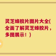 灵芝蜂胶片图片大全(全面了解灵芝蜂胶片，多图展示！)