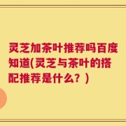 灵芝加茶叶推荐吗百度知道(灵芝与茶叶的搭配推荐是什么？)