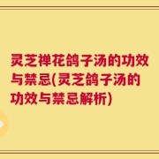 灵芝禅花鸽子汤的功效与禁忌(灵芝鸽子汤的功效与禁忌解析)