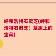 呼和浩特石灵芝(呼和浩特石灵芝：草原上的宝藏)