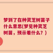 梦到了在种灵芝树苗子什么意思(梦见种灵芝树苗，预示着什么？)