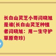 长白山灵芝小哥闫晓旭是谁(长白山灵芝种植者闫晓旭：用一生守护草原奇珍)
