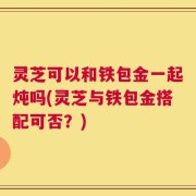 灵芝可以和铁包金一起炖吗(灵芝与铁包金搭配可否？)