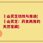 矷山灵芝功效与用途(矷山灵芝：药食两用的天然宝藏)
