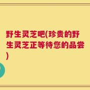 野生灵芝吧(珍贵的野生灵芝正等待您的品尝)