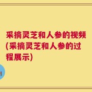 采摘灵芝和人参的视频(采摘灵芝和人参的过程展示)