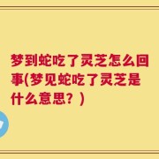 梦到蛇吃了灵芝怎么回事(梦见蛇吃了灵芝是什么意思？)