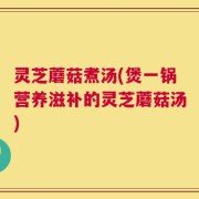 灵芝蘑菇煮汤(煲一锅营养滋补的灵芝蘑菇汤)