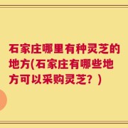石家庄哪里有种灵芝的地方(石家庄有哪些地方可以采购灵芝？)