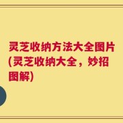 灵芝收纳方法大全图片(灵芝收纳大全，妙招图解)