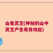 山鬼灵芝(神秘的山中灵芝产生奇异效应)
