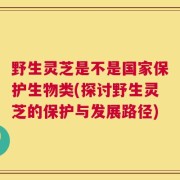 野生灵芝是不是国家保护生物类(探讨野生灵芝的保护与发展路径)