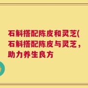 石斛搭配陈皮和灵芝(石斛搭配陈皮与灵芝，助力养生良方