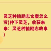 灵芝种植励志文案怎么写(种下灵芝，收获未来：灵芝种植励志故事)