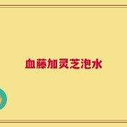 血藤加灵芝泡水