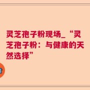 灵芝孢子粉现场_“灵芝孢子粉：与健康的天然选择”