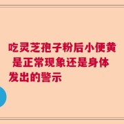 吃灵芝孢子粉后小便黄 是正常现象还是身体发出的警示