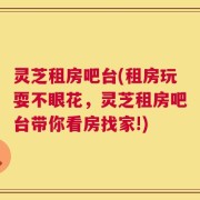 灵芝租房吧台(租房玩耍不眼花，灵芝租房吧台带你看房找家!)