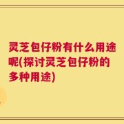 灵芝包仔粉有什么用途呢(探讨灵芝包仔粉的多种用途)