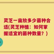 灵芝一亩放多少菌种合适(灵芝种植：如何掌握适宜的菌种数量？)