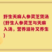 野生天麻人参灵芝煲汤(野生人参灵芝与天麻入汤，营养滋补又养生)