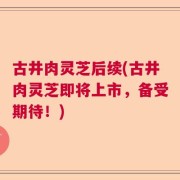 古井肉灵芝后续(古井肉灵芝即将上市，备受期待！)