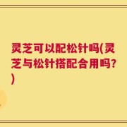 灵芝可以配松针吗(灵芝与松针搭配合用吗？)