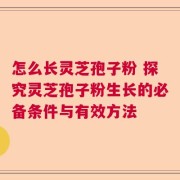 怎么长灵芝孢子粉 探究灵芝孢子粉生长的必备条件与有效方法