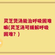 灵芝煲汤能治呼吸困难嘛(灵芝汤可缓解呼吸困难？)