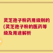 灵芝孢子粉药用级别的(灵芝孢子粉的医药等级及用途解析